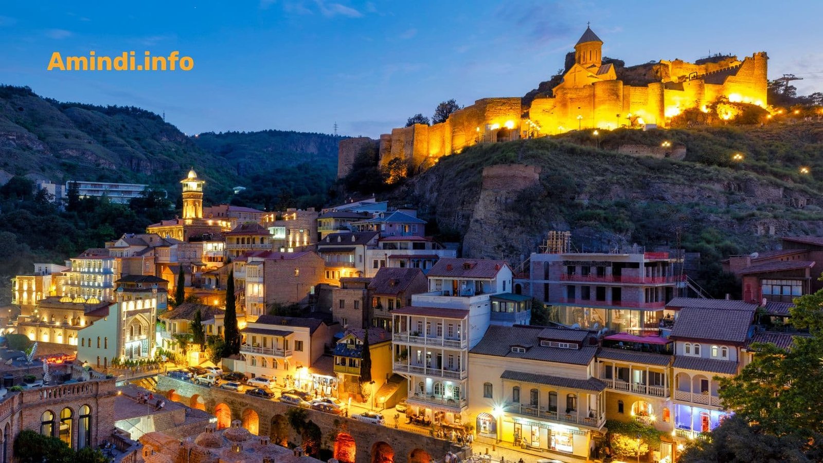 ამიდნის საქართველოში